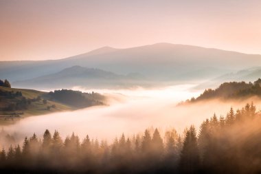 Sonbahar manzara, Sisli sabah Orava, Slovakya, Avrupa'nın bölgede.