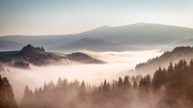 Sonbahar manzara, Sisli sabah Orava, Slovakya, Avrupa'nın bölgede.