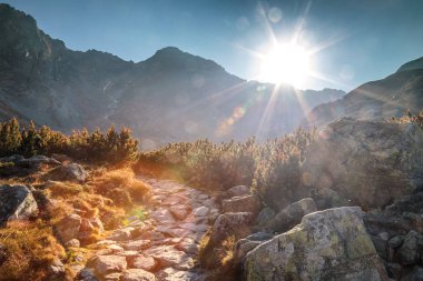 Sonbaharda dağ manzarası, Tatras Ulusal Parkı 'ndaki Rohace alanı, Slovakya, Avrupa.