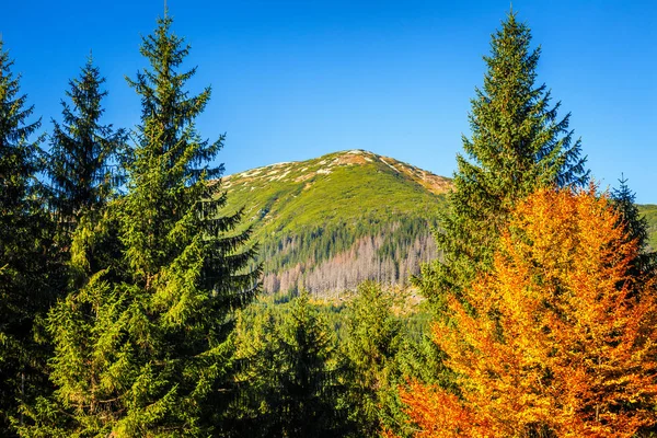 Paesaggio Montano Autunno Zona Rohace Nel Parco Nazionale Tatra Slovacchia — Foto Stock