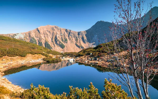 Krajobraz Górski Tarn Jesieni Obszar Rohacze Parku Narodowym Tatry Słowacja — Zdjęcie stockowe