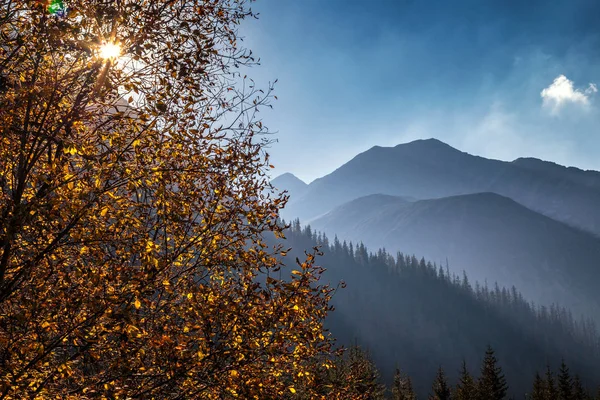 Mountain Landscape Autumn Area Rohace Tatras National Park Slovakia Europe — Stock Photo, Image