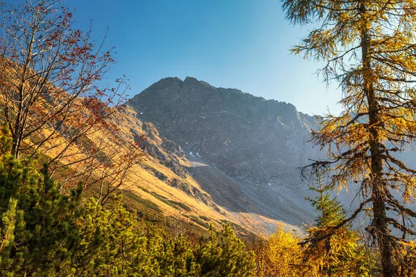 Bergslandskap Hösten Området Rohace Tatras Nationalpark Slovakien Europa — Stockfoto