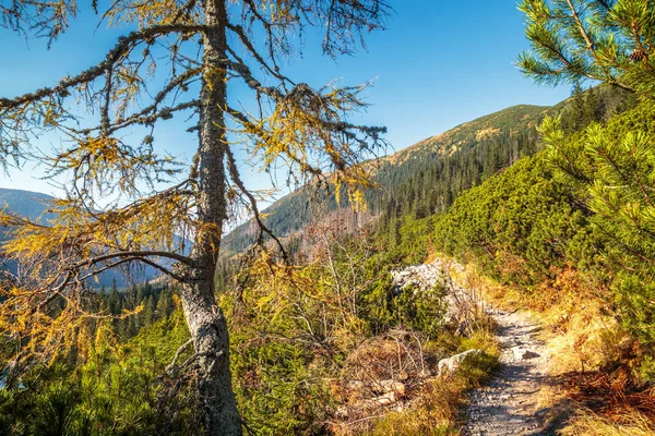 Paisaje Montaña Otoño Zona Rohace Parque Nacional Tatras Eslovaquia Europa — Foto de Stock