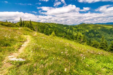 Manzara mavi gökyüzü bulutlu arka planda çiçekli çayır ve dağ zirveleri ile bahar. Donovaly alan Velka Fatra Milli Parkı, Slovakya, Avrupa.