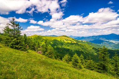 Manzara mavi gökyüzü bulutlu arka planda otsu çayır ve dağ zirveleri ile bahar. Donovaly alan Velka Fatra Milli Parkı, Slovakya, Avrupa.