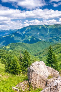 Manzara mavi gökyüzü bulutlu arka planda otsu çayır ve dağ zirveleri ile bahar. Donovaly alan Velka Fatra Milli Parkı, Slovakya, Avrupa.