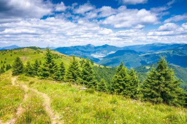 Manzara mavi gökyüzü bulutlu arka planda otsu çayır ve dağ zirveleri ile bahar. Donovaly alan Velka Fatra Milli Parkı, Slovakya, Avrupa.
