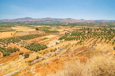Zeytin ağaçları ve arka plan, Girit, Yunanistan, Avrupa dağ manzara.