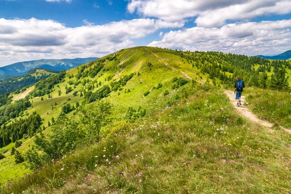 春天的风景与草地和山峰 蓝天与云的背景 位于斯洛伐克 斯洛伐克 欧洲的 Velka Fatra 国家公园的多诺瓦利地区 — 图库照片