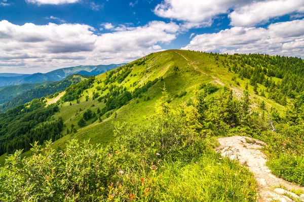 Lente Landschap Met Grazige Weiden Bergtoppen Blauwe Hemel Met Wolken — Stockfoto