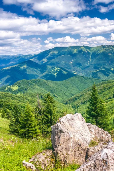 Manzara mavi gökyüzü bulutlu arka planda otsu çayır ve dağ zirveleri ile bahar. Donovaly alan Velka Fatra Milli Parkı, Slovakya, Avrupa.