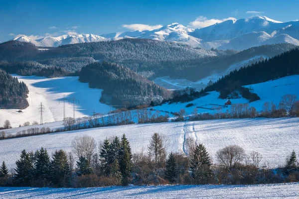 Snöiga Vinterlandskap Slovakien Europa — Stockfoto