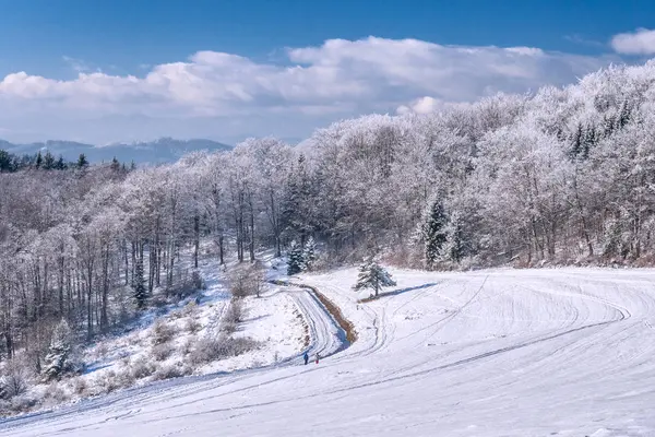 Snöiga Vinterlandskap Slovakien Europa — Stockfoto