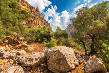 Bir vahşi dağ manzarası yakınındaki mağara Agia Sofia Adalet Divani Crete island, Yunanistan, Avrupa'nın iç içinde.