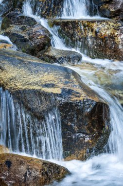 Şelale akımın, Mlynicka Vadisi yüksek Tatras Milli Parkı, Slovakya, Avrupa.