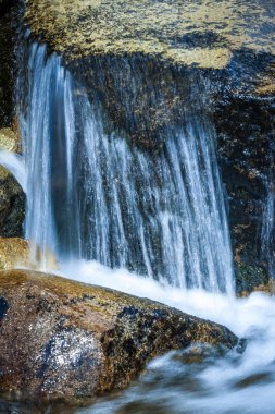 Şelale akımın, Mlynicka Vadisi yüksek Tatras Milli Parkı, Slovakya, Avrupa.