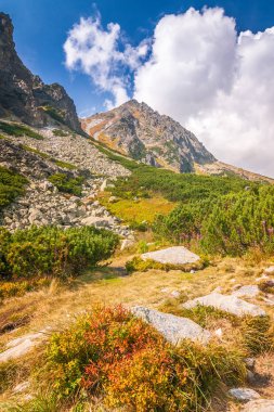Dağ manzarası, Mlynicka Vadisi, Yüksek Tatras Ulusal Park, Slovakya, Europe.