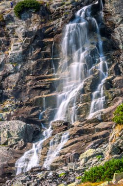 Skok şelale Mlynicka Vadisi yüksek Tatras Milli Parkı, Slovakya, Avrupa.