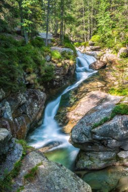 Studenovodske şelaleler akımın orman, Yüksek Tatras Milli Parkı, Slovakya, Avrupa.