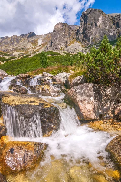 Vattenfall Stream Mlynicka Valley High Tatras Nationalpark Slovakien Europa — Stockfoto