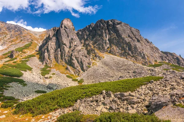 Ορεινό Τοπίο Mlynicka Κοιλάδα Της Υψηλής Tatras Εθνικό Πάρκο Σλοβακία — Φωτογραφία Αρχείου