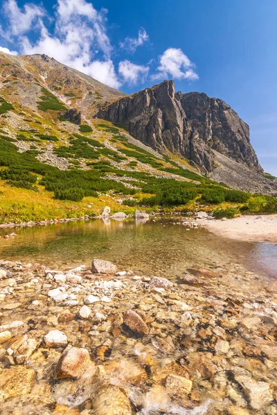 Bergslandskap Mlynicka Valley High Tatras National Park Slovakien Europa — Stockfoto