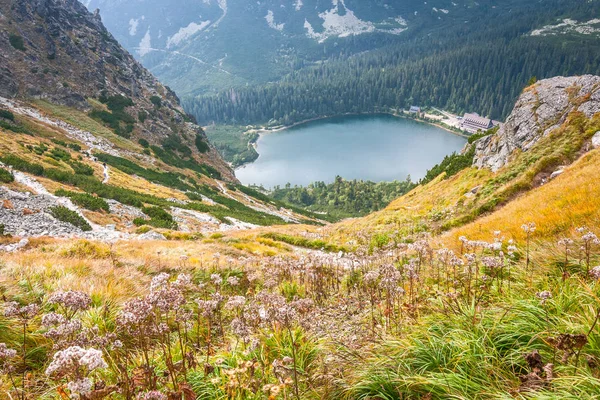 Вид Гірських Сідло Ostrva Popradske Плесо Озеро Європі Національного Парку — стокове фото