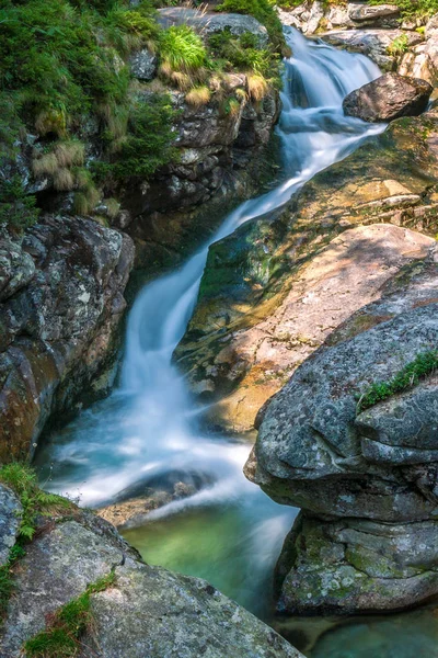 欧洲斯洛伐克高级塔特拉斯国家公园森林溪边的斯图雷诺沃茨克瀑布 — 图库照片