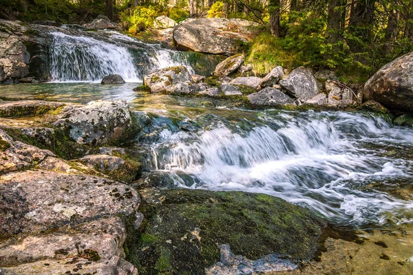 Die Studenovodske Wasserfälle Einem Bach Wald Nationalpark Hohe Tatra Slowakei — Stockfoto