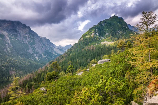 Berg Landskap High Tatras Nationalpark Slovakien Europa — Stockfoto