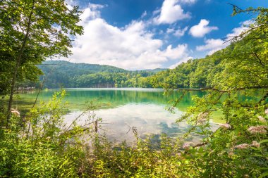 Görünümünü yatay, bir göl, Plitvice Gölleri Milli Parkı, Hırvatistan, Avrupa.