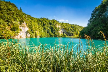 Görünümünü yatay, bir göl, Plitvice Gölleri Milli Parkı, Hırvatistan, Avrupa.