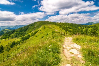 Manzara mavi gökyüzü bulutlu arka planda otsu çayır ve dağ zirveleri ile bahar. Donovaly alan Velka Fatra Milli Parkı, Slovakya, Avrupa.