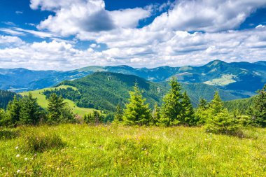 Manzara mavi gökyüzü bulutlu arka planda otsu çayır ve dağ zirveleri ile bahar. Donovaly alan Velka Fatra Milli Parkı, Slovakya, Avrupa.