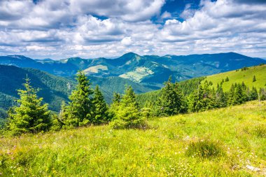 Spring landscape with grassy meadows and the mountain peaks, blue sky with clouds in the background. The Donovaly area in Velka Fatra National Park, Slovakia, Europe. clipart