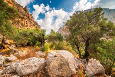 Bir vahşi dağ manzarası yakınındaki mağara Agia Sofia Adalet Divani Crete island, Yunanistan, Avrupa'nın iç içinde.