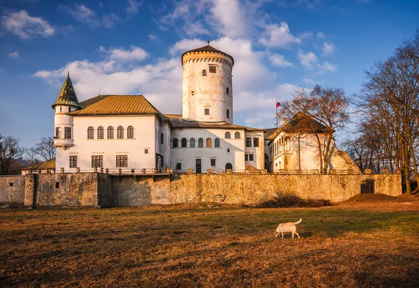 Średniowieczny Zamek Budatin Pobliżu Przez Słowacji Zilina Europy Środkowej — Zdjęcie stockowe