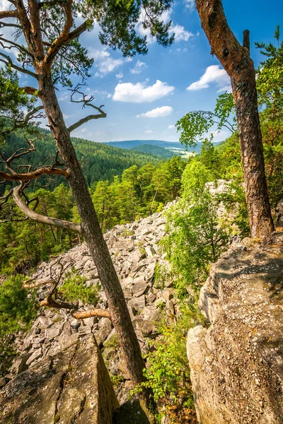 Pohled Krajinu Čertova Stena Národní Přírodní Rezervace Lokalita Označována Jako — Stock fotografie