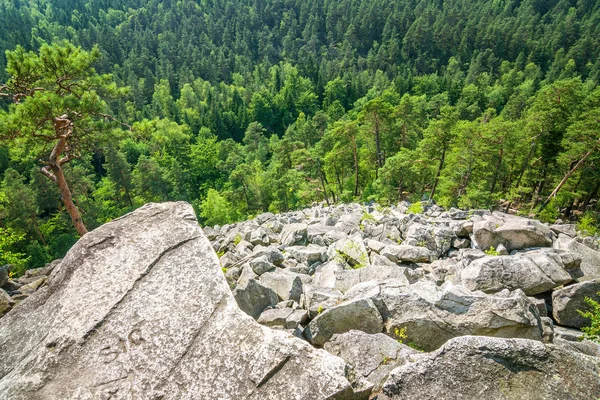 Vue Sur Campagne Dans Réserve Naturelle Nationale Certova Stena Située — Photo