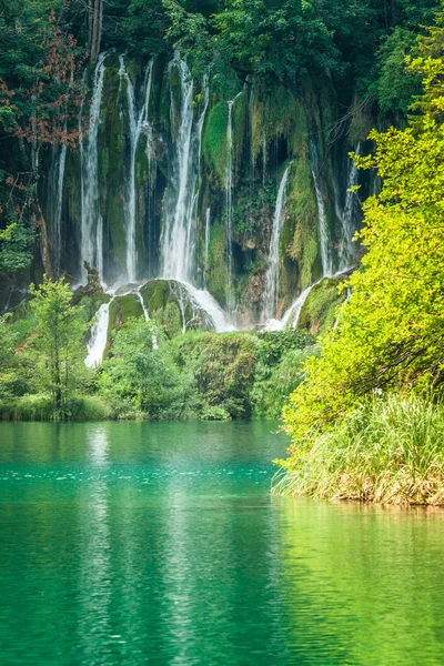 Καταρράκτης Τυρκουάζ Λίμνη Plitvice Εθνικό Πάρκο Των Λιμνών Στην Κροατία — Φωτογραφία Αρχείου