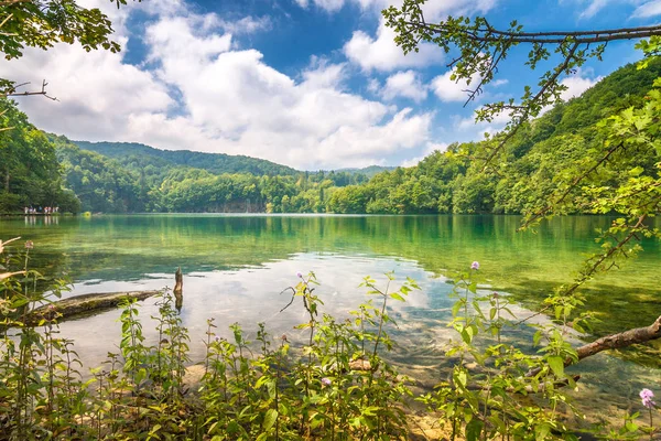 Vista Paisagem Com Lago Parque Nacional Dos Lagos Plitvice Croácia — Fotografia de Stock