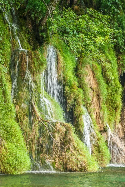 Καταρράκτης Μια Λίμνη Plitvice Εθνικό Πάρκο Των Λιμνών Στην Κροατία — Φωτογραφία Αρχείου