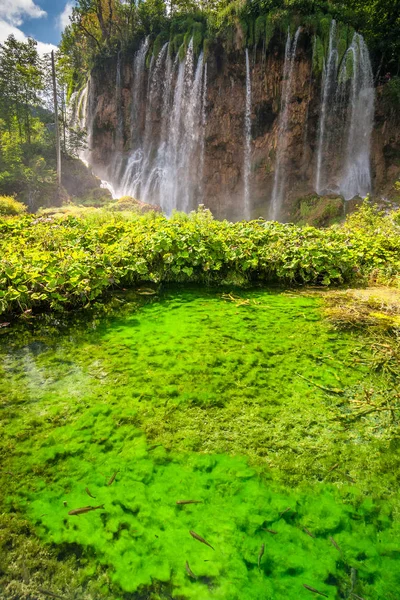 Vodopád Jezera Rybami Plitvice Lakes National Park Chorvatsko Evropa — Stock fotografie