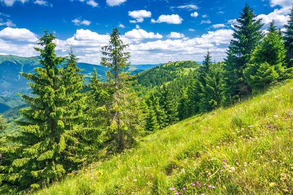 Frühlingslandschaft Mit Grasbewachsenen Wiesen Und Berggipfeln Blauer Himmel Mit Wolken — Stockfoto