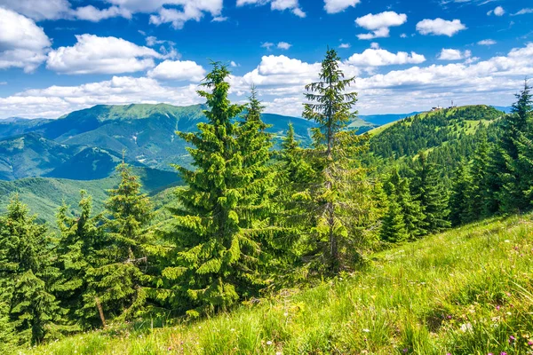 Frühlingslandschaft Mit Grasbewachsenen Wiesen Und Berggipfeln Blauer Himmel Mit Wolken — Stockfoto