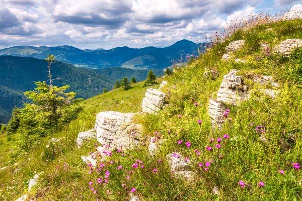 Våren Landskap Med Blommande Ängar Och Bergstoppar Blå Himmel Med — Stockfoto