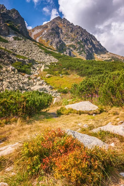 Góry Krajobraz Mlynicka Doliny Wysokich Tatrach Krajowych Park Słowacja Europa — Zdjęcie stockowe