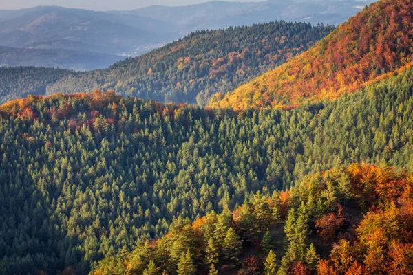 秋の色 Sulov 岩ナショナル ネイチャー リザーブ スロバキア ヨーロッパの森林山の風景 — ストック写真