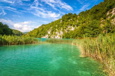 Görünümünü yatay, bir göl, Plitvice Gölleri Milli Parkı, Hırvatistan, Avrupa.